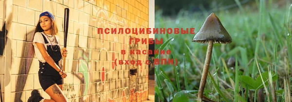 не бодяженный Гатчина